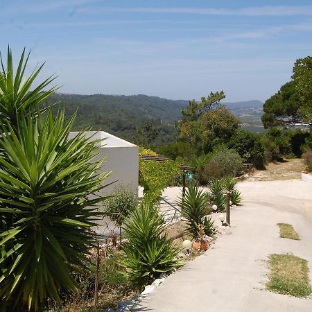 A Perfect Villa With Pool Terrace And Garden Alcobaca Bagian luar foto