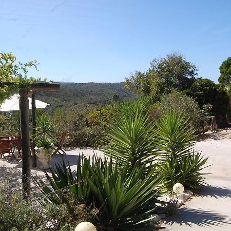 A Perfect Villa With Pool Terrace And Garden Alcobaca Bagian luar foto