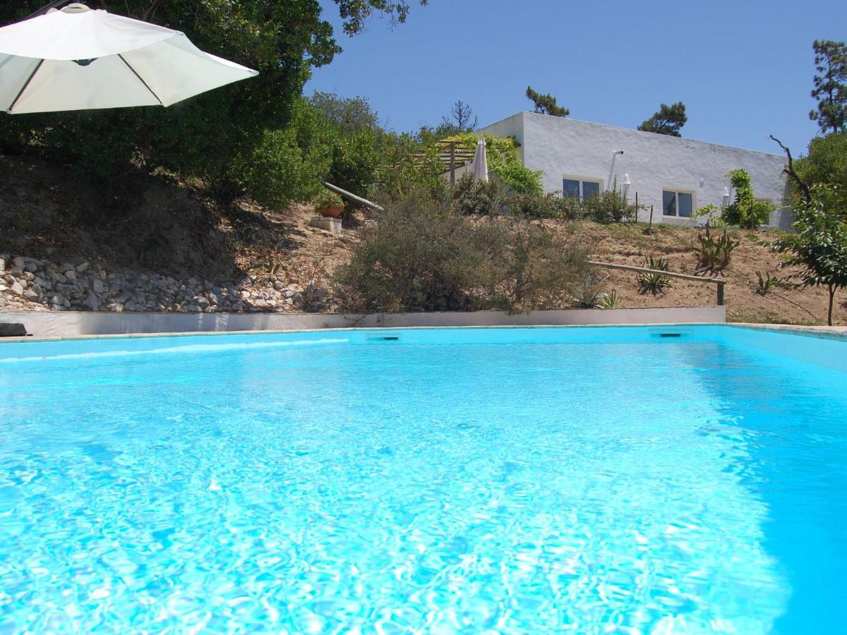 A Perfect Villa With Pool Terrace And Garden Alcobaca Bagian luar foto