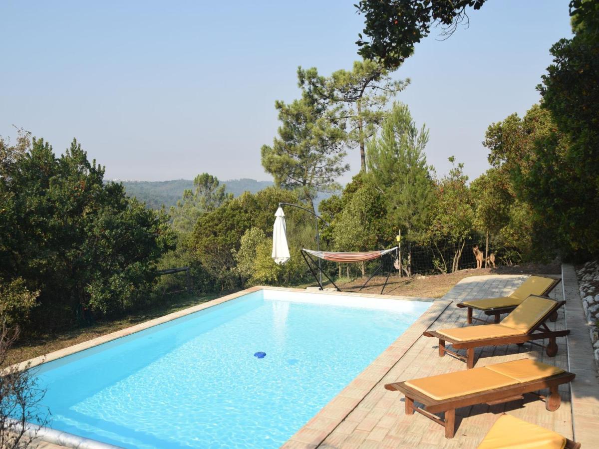 A Perfect Villa With Pool Terrace And Garden Alcobaca Bagian luar foto