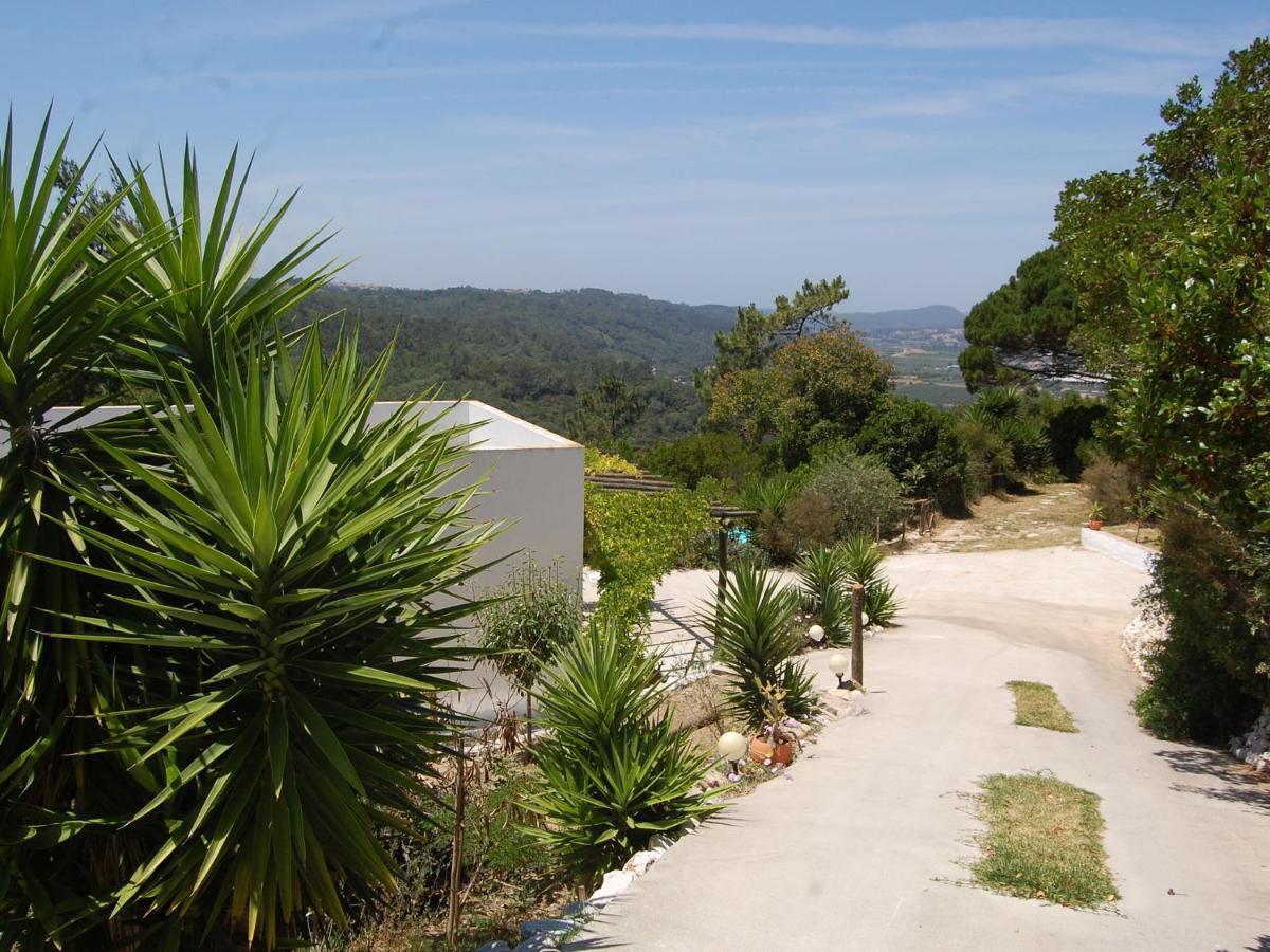 A Perfect Villa With Pool Terrace And Garden Alcobaca Bagian luar foto