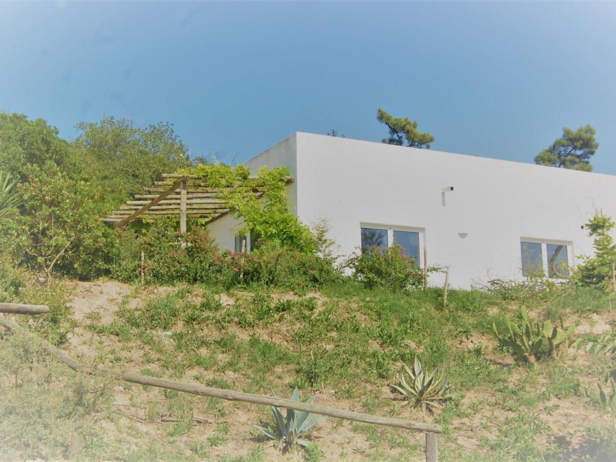 A Perfect Villa With Pool Terrace And Garden Alcobaca Bagian luar foto