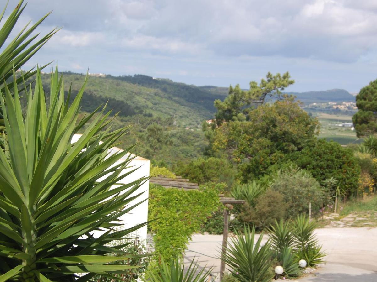 A Perfect Villa With Pool Terrace And Garden Alcobaca Bagian luar foto