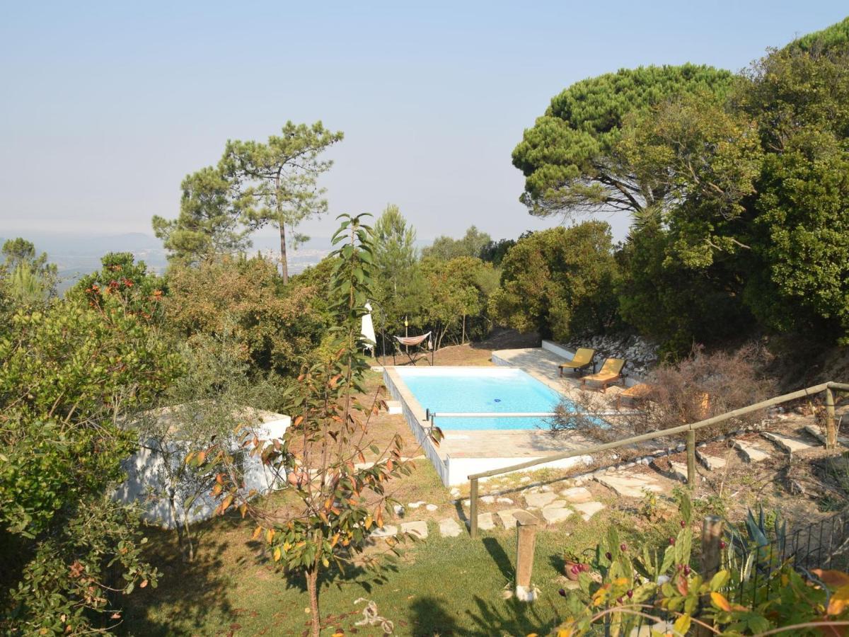 A Perfect Villa With Pool Terrace And Garden Alcobaca Bagian luar foto