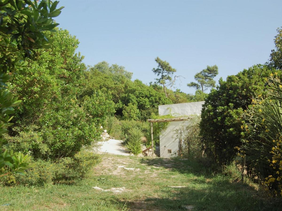 A Perfect Villa With Pool Terrace And Garden Alcobaca Bagian luar foto
